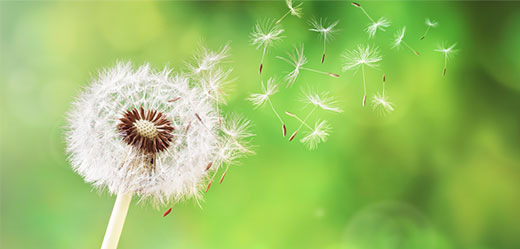 The image of  Our Approaches to CSR